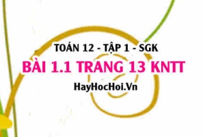 Bài 1.1 trang 13 Toán 12 tập 1 Kết nối tri thức